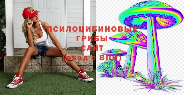 дмт Бронницы