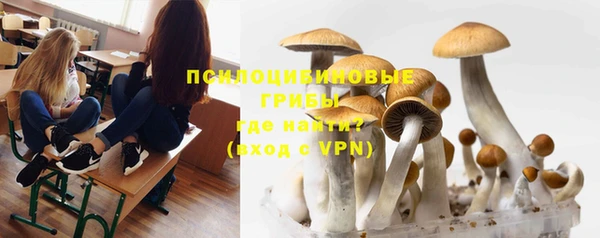 дмт Бронницы