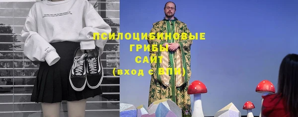 хмурый Бородино