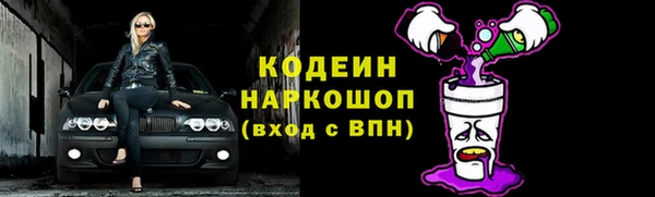 хмурый Бородино
