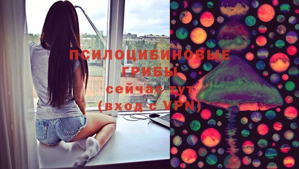 хмурый Бородино