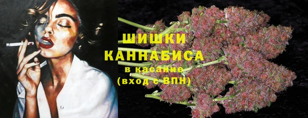 дмт Бронницы