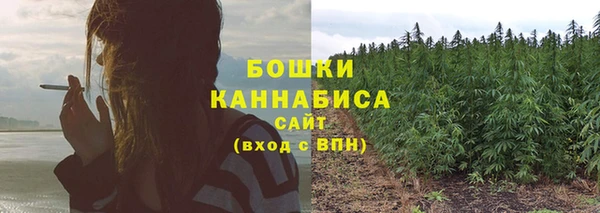 прущая мука Осташков