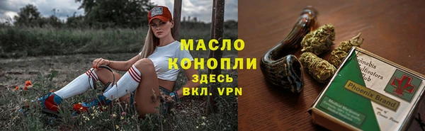 хмурый Бородино