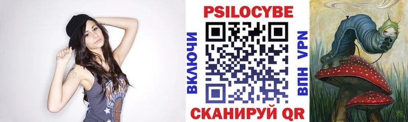 что такое   Ростов  Псилоцибиновые грибы Cubensis 